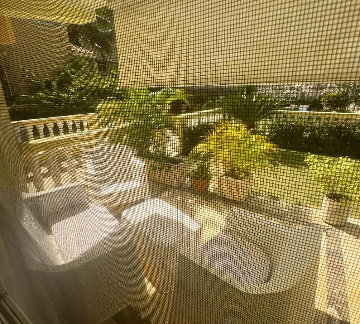 Las Palmeras By Graziano Boca Chica 3*,