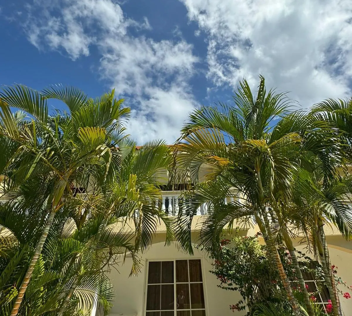 Las Palmeras By Graziano Boca Chica Resort